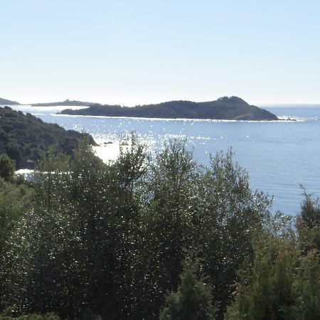 Appartement T2 50M² Vue Mer Presqu'Il De Giens. Rc Hyeres Bagian luar foto